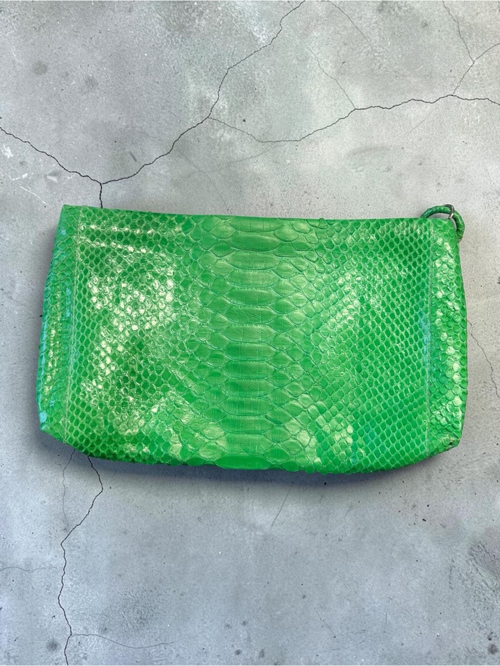 Green Python-Embossed Tassel Clutch - Picture 2 of 9